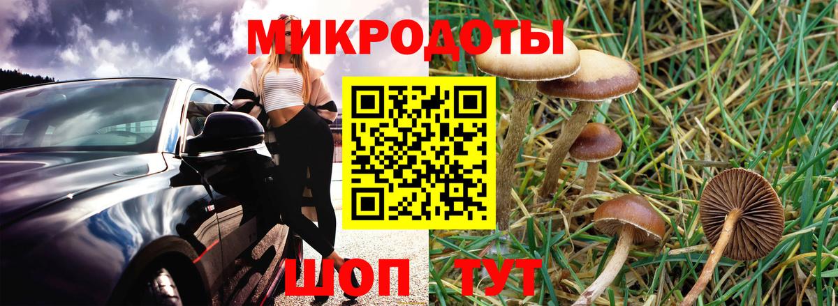 Галлюциногенные грибы Cubensis  Вход с VPN  Псилоцибиновые грибы GOLDEN TEACHER  Якутск 